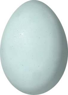 Illustration of a Cocoi Heron (Ardea cocoi) egg, 65.4 × 46.5 mm