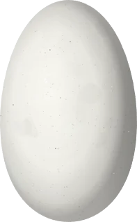 Illustration of a Collared Inca (Coeligena torquata) egg, 16.1 × 9.9 mm