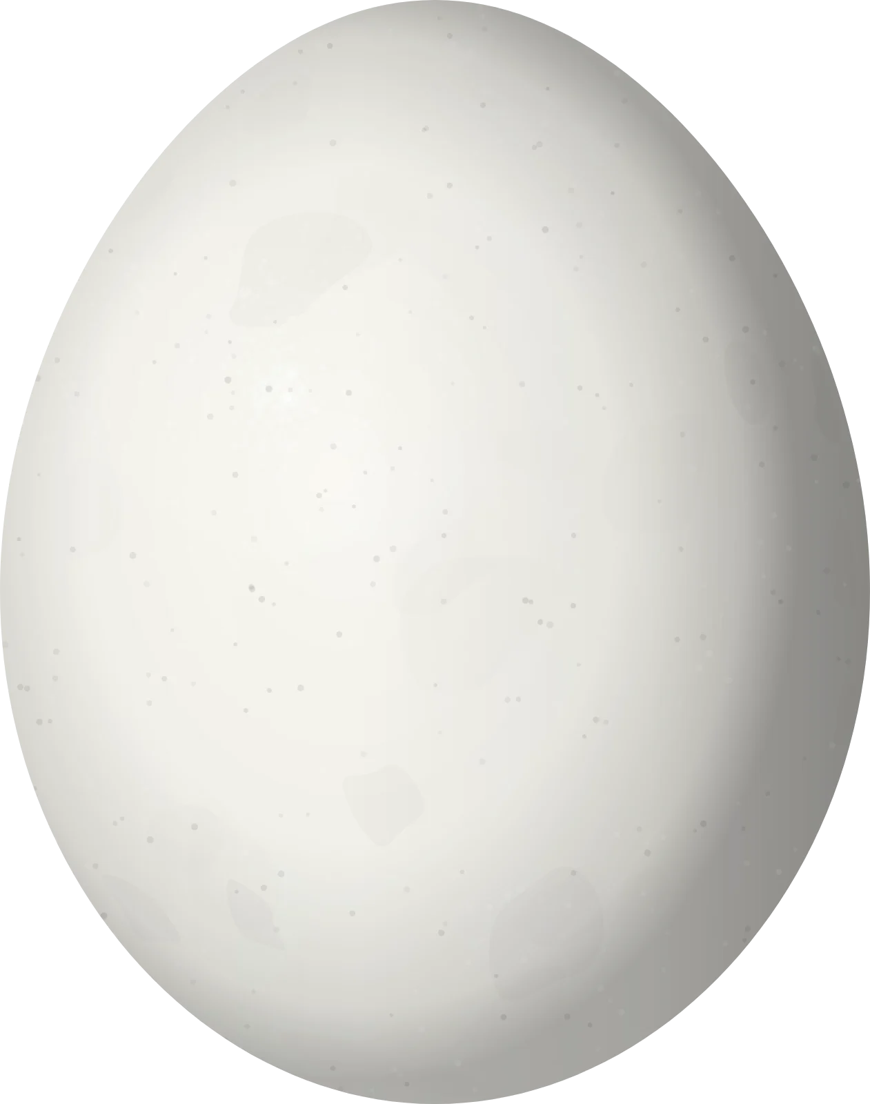 Illustration of a Collared Trogon (Trogon collaris) egg, 28.33 × 22.33 mm