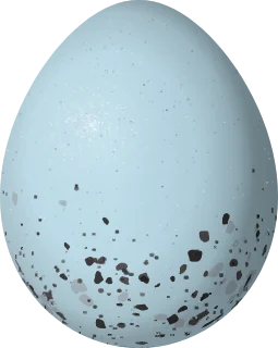 Illustration of a Collared Warbling Finch (Poospiza hispaniolensis) egg, 18.7 × 14.9 mm