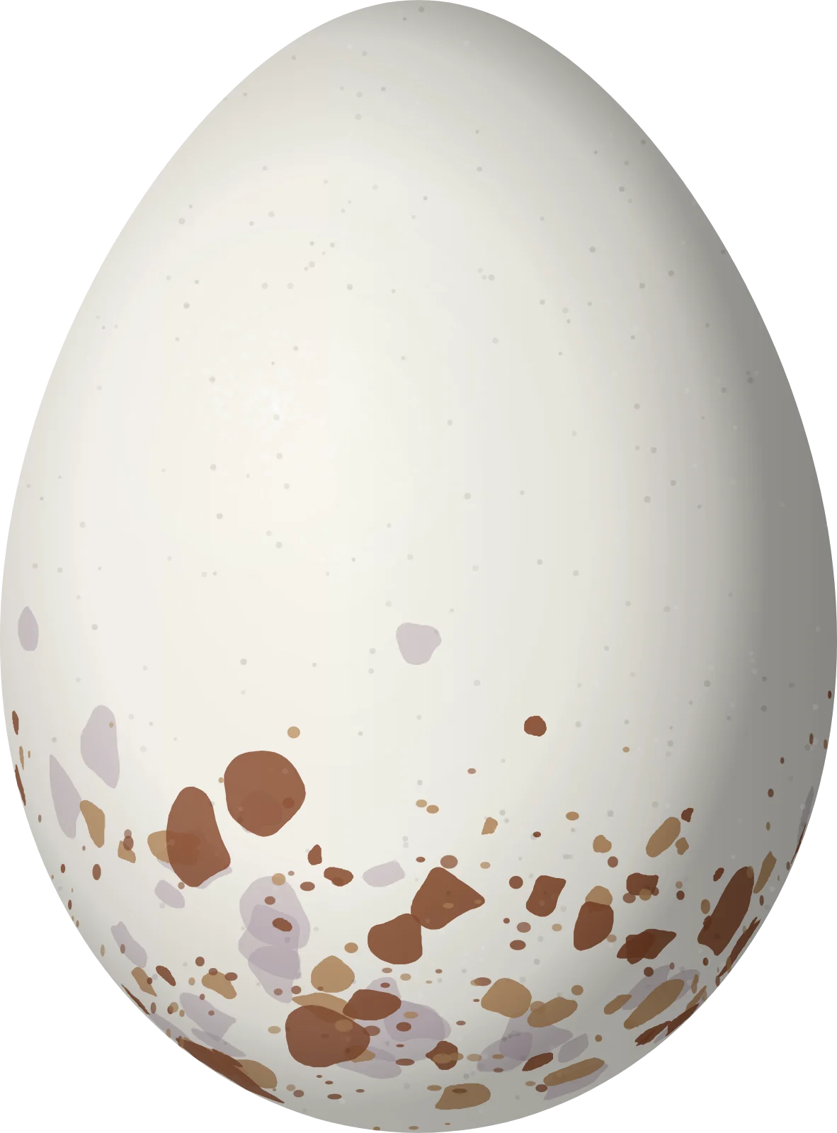 Illustration of a Collared Whitestart (Myioborus torquatus) egg, 17.6 × 13 mm