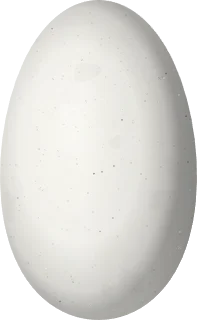 Illustration of a Colorful Puffleg (Eriocnemis mirabilis) egg, 13 × 8 mm