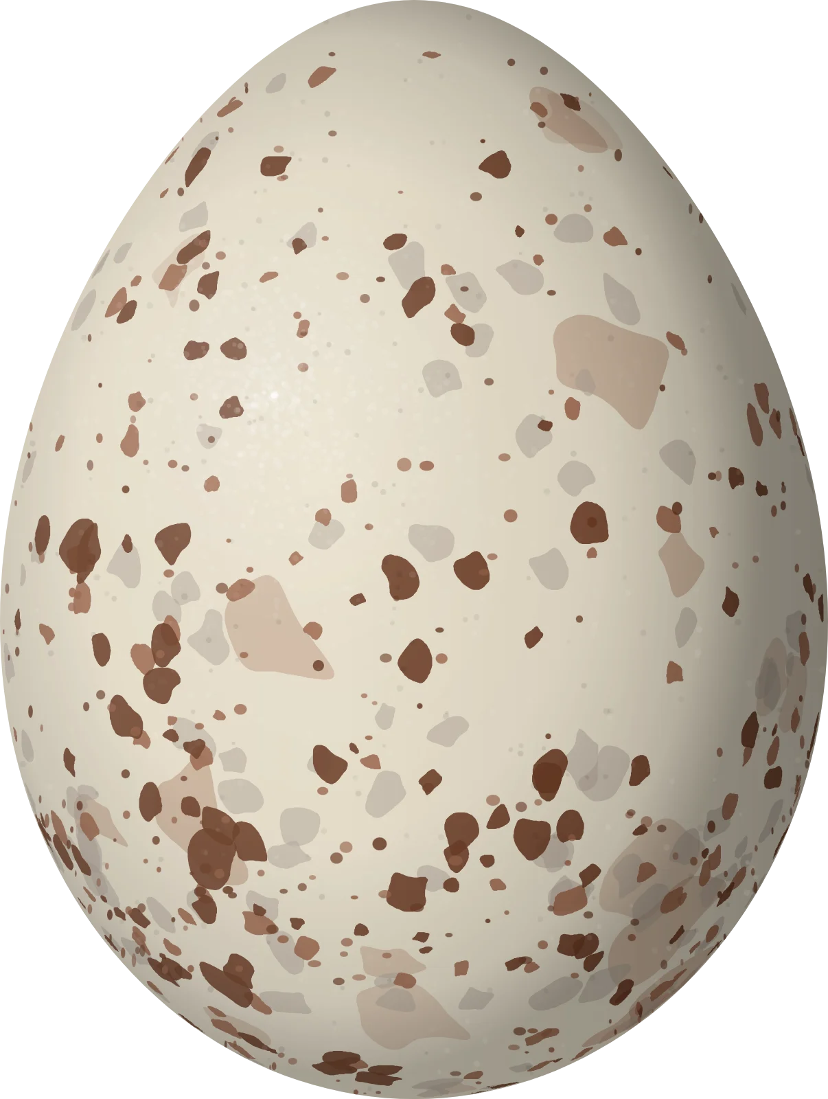 Illustration of a Common Cactus Finch (Geospiza scandens) egg, 19.9 × 15 mm