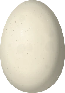 Common Merganser egg, 64.3 × 44.9 mm