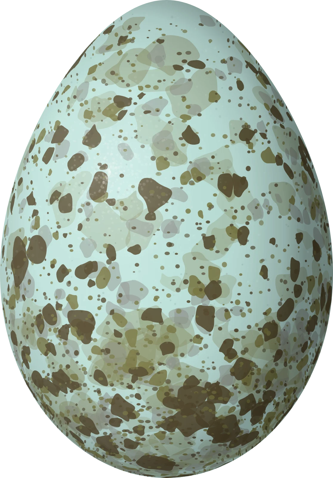 Illustration of a Common Raven (Corvus corax) egg, 49.53 × 34.54 mm