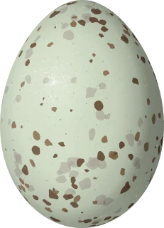 Common Redpoll egg, 16.9 × 12.2 mm