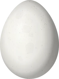 Illustration of a Common Waxbill (Estrilda astrild) egg, 13.86 × 10.33 mm