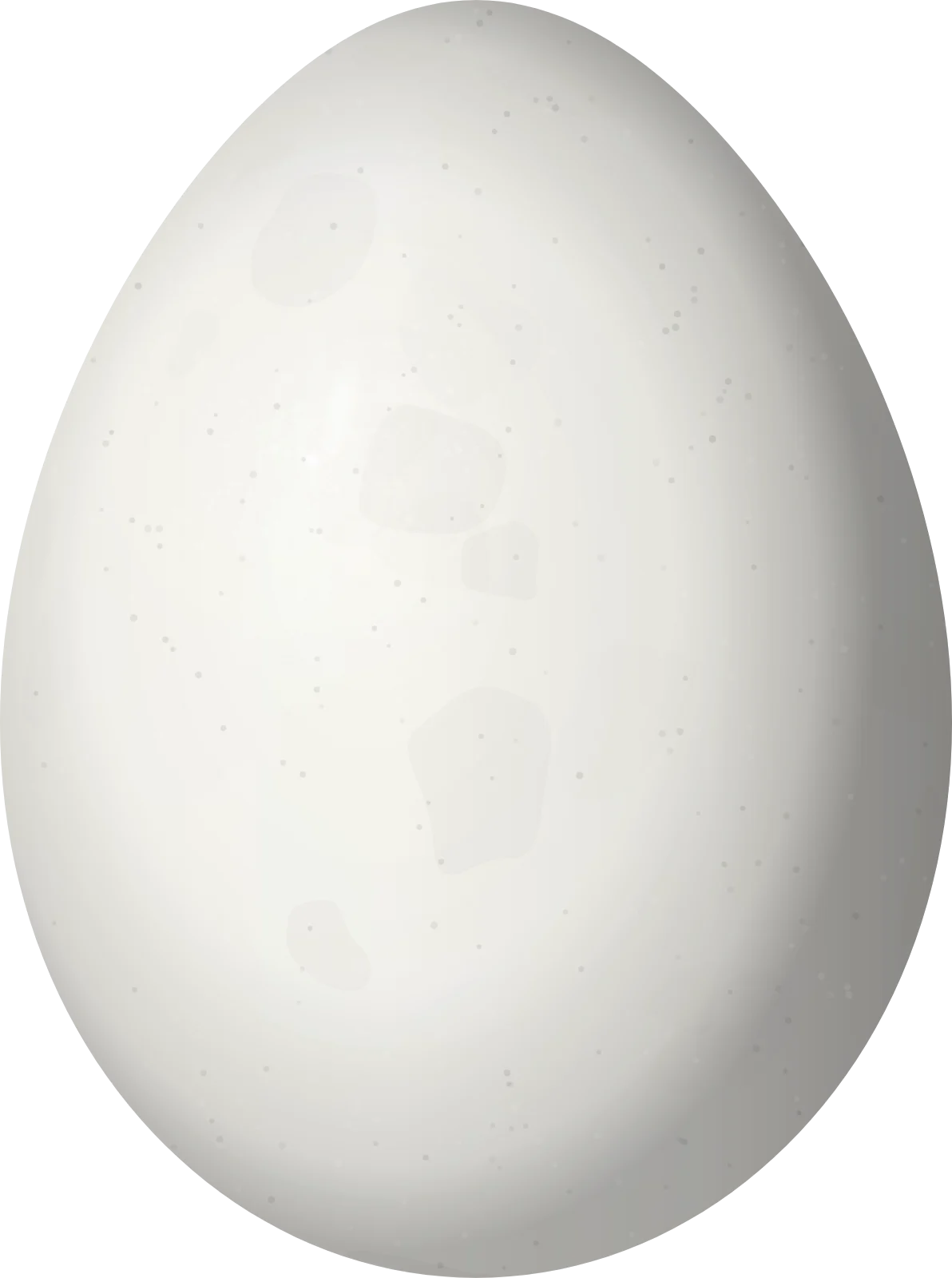 Illustration of a Common Waxbill (Estrilda astrild) egg, 13.86 × 10.33 mm