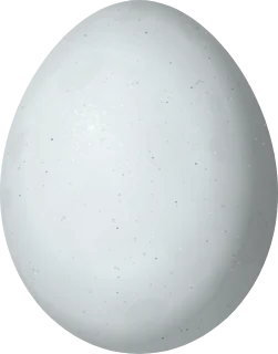 Cooper's Hawk egg, 49 × 38.5 mm