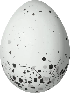 Illustration of a Copper Seedeater (Sporophila bouvreuil) egg, 16.5 × 12.5 mm
