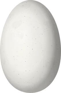 Illustration of a Coppery Metaltail (Metallura theresiae) egg, 12.7 × 8.4 mm
