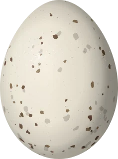 Couch's Kingbird egg, 24.8 × 18.4 mm