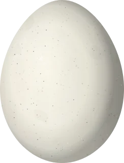 Illustration of a Cream-colored Woodpecker (Celeus flavus) egg, 29.3 × 22.3 mm