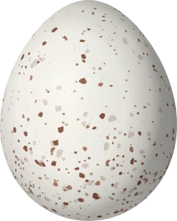 Illustration of a Creamy-bellied Gnatcatcher (Polioptila lactea) egg, 14.3 × 11.5 mm