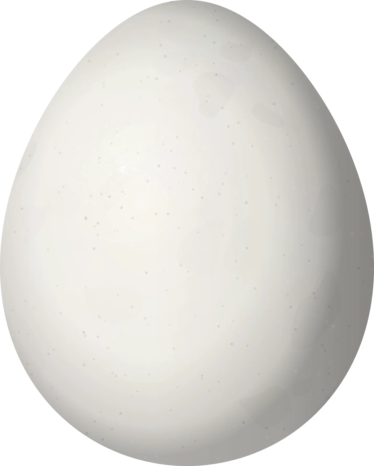 Illustration of a Crested Gallito (Rhinocrypta lanceolata) egg, 26.61 × 21.35 mm
