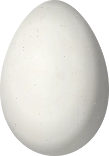 Illustration of a Crested Hornero (Furnarius cristatus) egg, 23.34 × 16.27 mm
