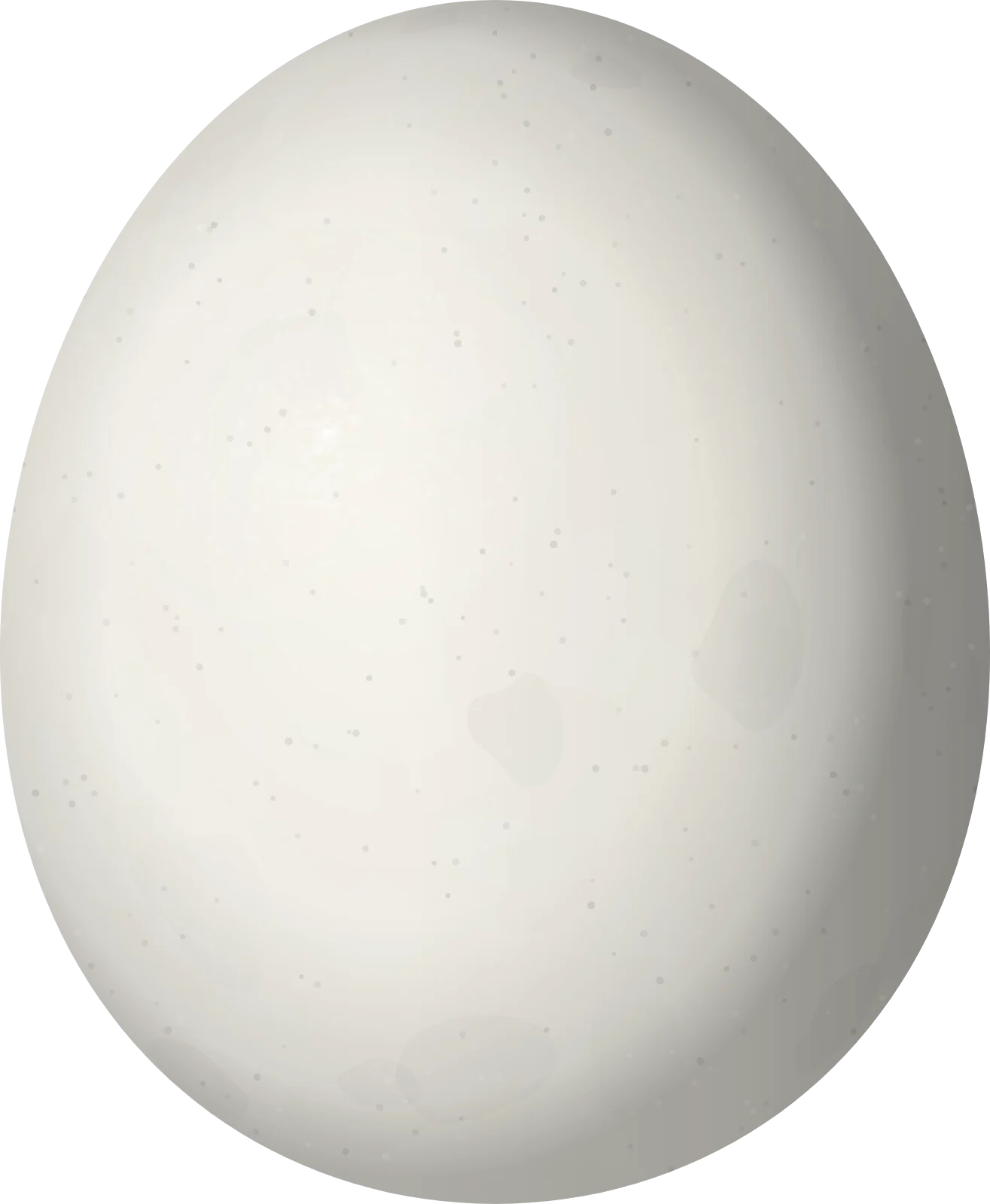 Illustration of a Crested Owl (Lophostrix cristata) egg, 46.1 × 37.9 mm