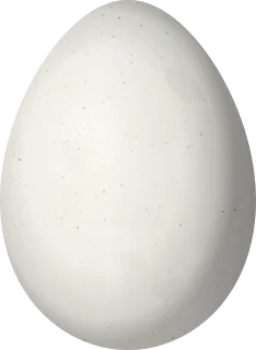 Illustration of a Crested Spinetail (Cranioleuca subcristata) egg, 21.9 × 16 mm