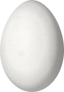 Illustration of a Crimson-bellied Woodpecker (Campephilus haematogaster) egg, 34 × 23.7 mm