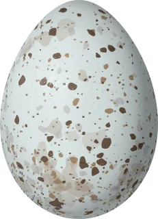 Illustration of a Crimson-collared Grosbeak (Periporphyrus celaeno) egg, 23.6 × 17 mm