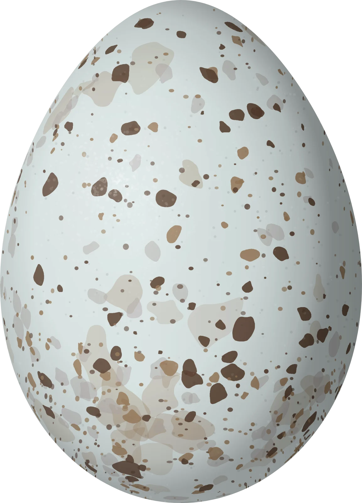 Illustration of a Crimson-collared Grosbeak (Periporphyrus celaeno) egg, 23.6 × 17 mm