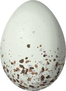 Illustration of a Crimson-fronted Cardinal (Paroaria baeri) egg, 22.4 × 16.4 mm