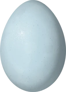 Crissal Thrasher egg, 26.8 × 19.2 mm