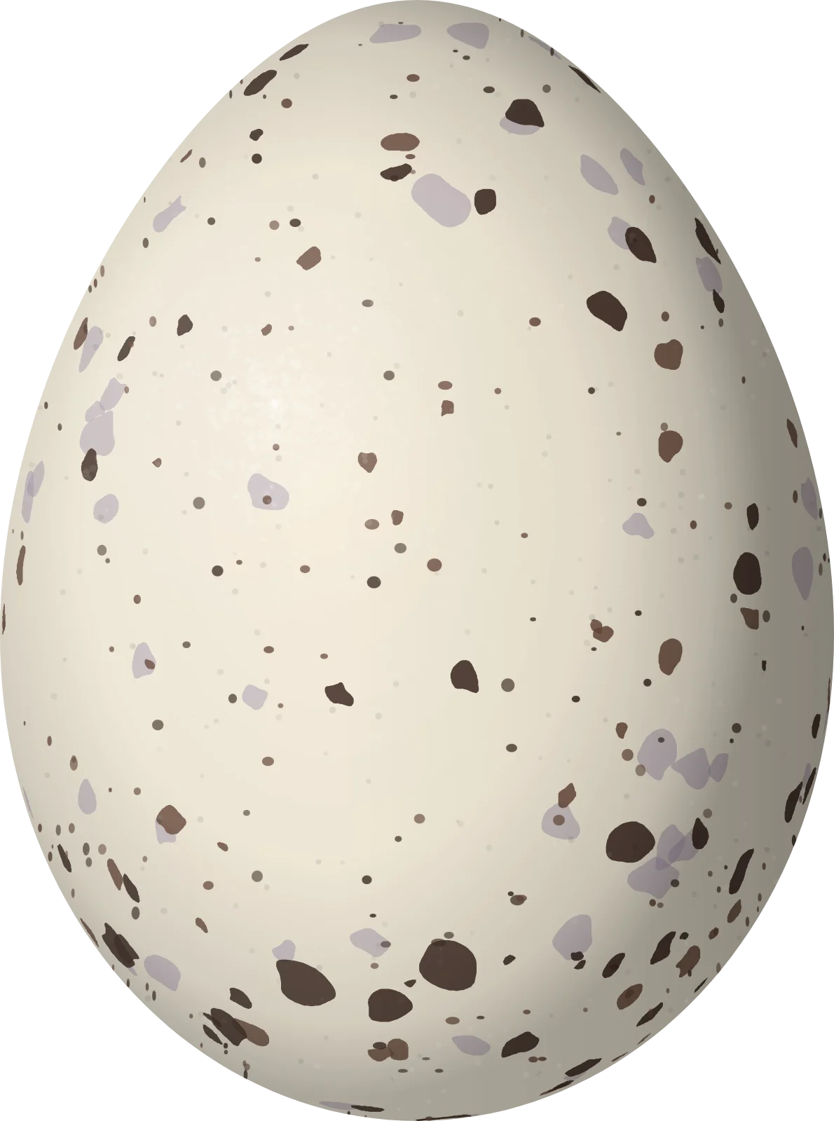 Illustration of a Crowned Slaty Flycatcher (Empidonomus aurantioatrocristatus) egg, 20.7 × 15.4 mm