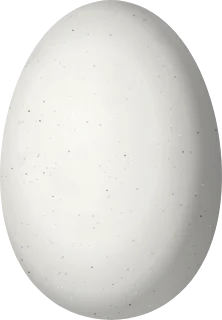Illustration of a Cuban Emerald (Riccordia ricordii) egg, 13 × 9 mm
