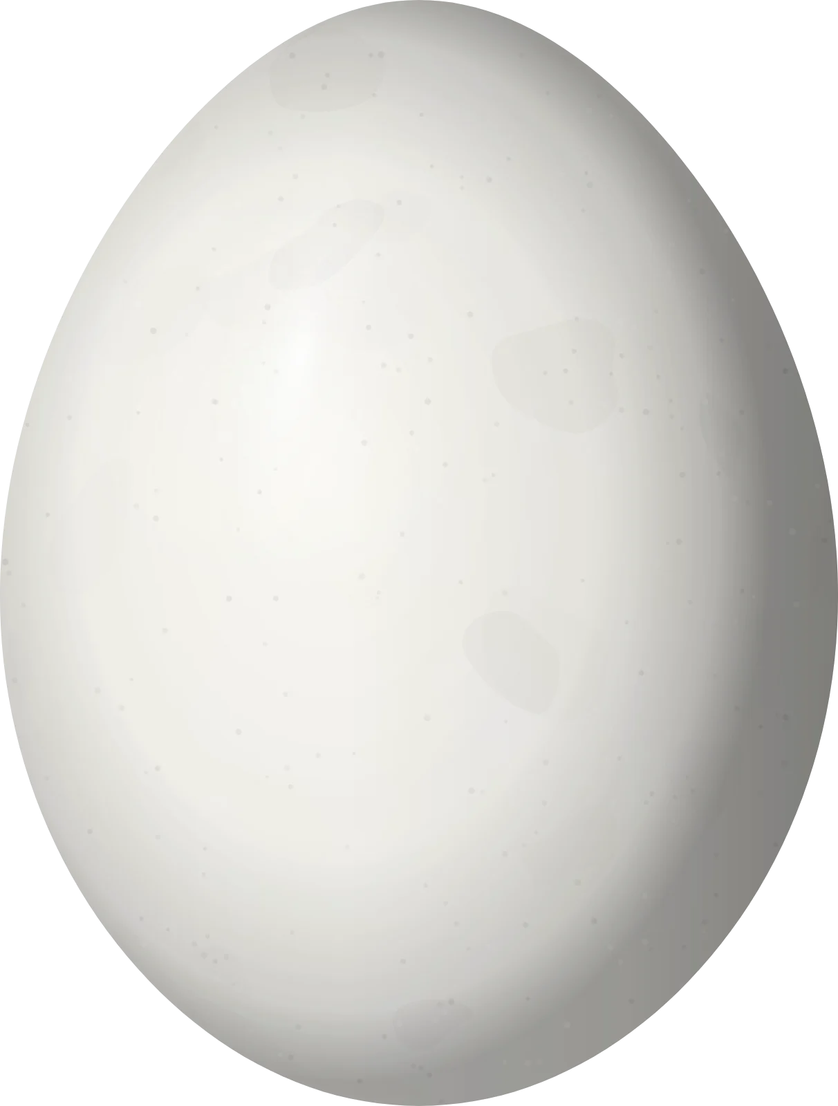Illustration of a Cuban Tody (Todus multicolor) egg, 17.3 × 13.1 mm
