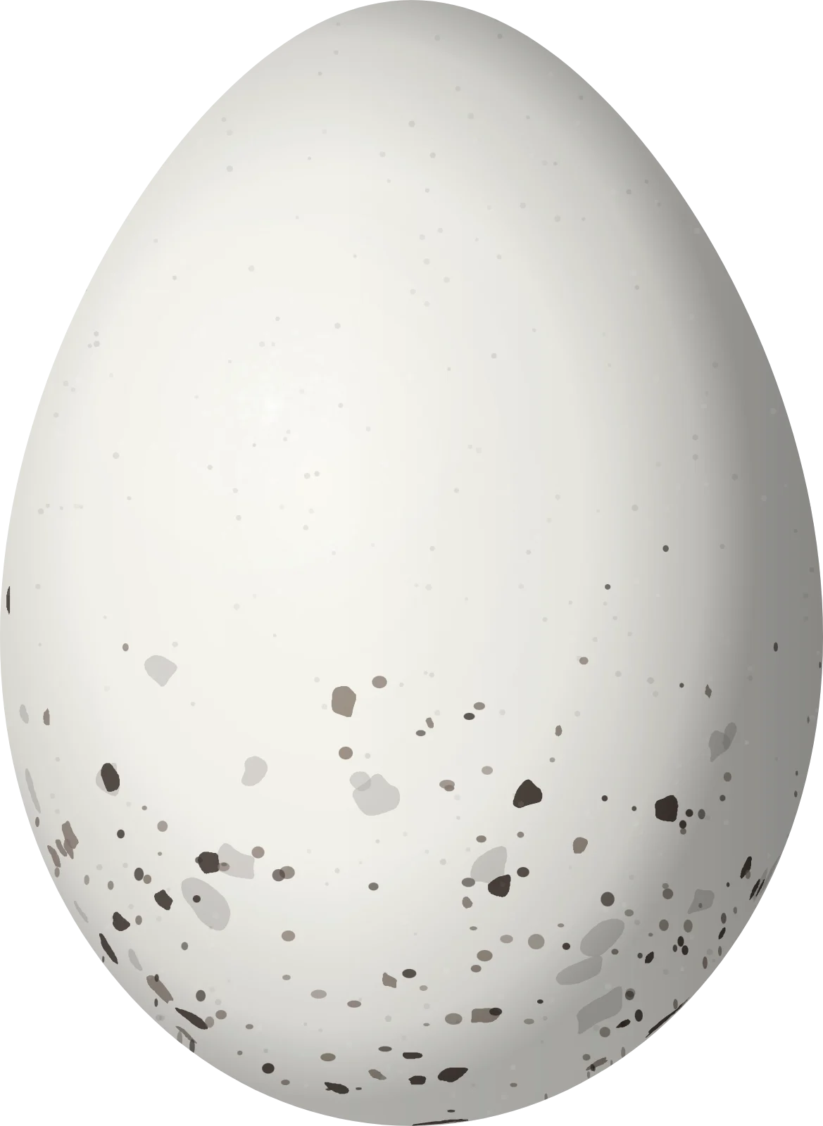 Illustration of a Cuban Vireo (Vireo gundlachii) egg, 19.3 × 14.1 mm