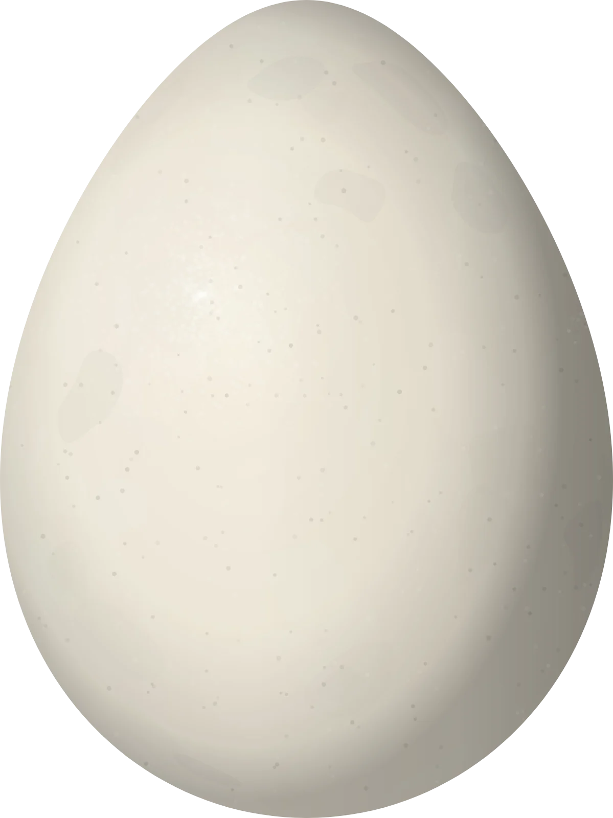 Illustration of a Dark-backed Wood Quail (Odontophorus melanonotus) egg, 39.9 × 29.9 mm