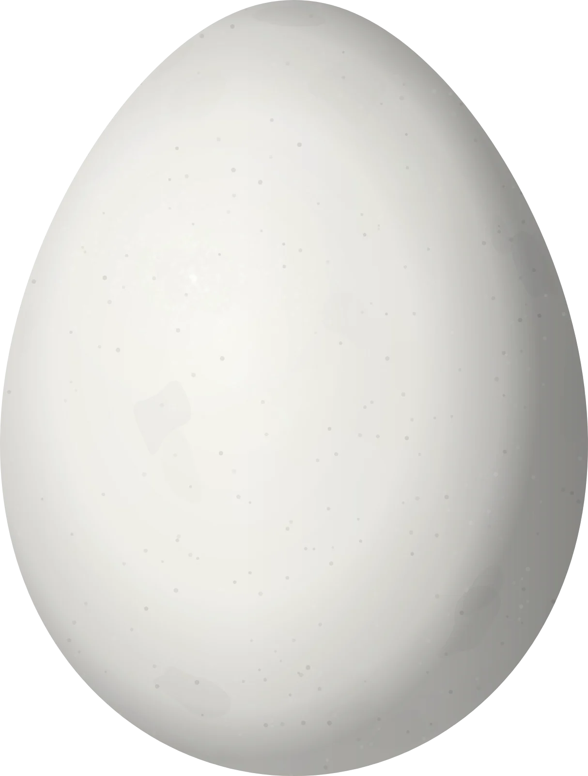 Illustration of a Dark-breasted Spinetail (Synallaxis albigularis) egg, 20.3 × 15.4 mm
