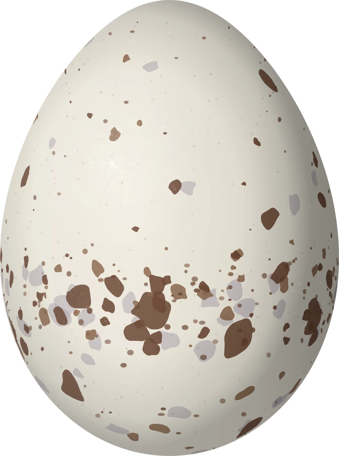 Illustration of a Dark Pewee (Contopus lugubris) egg, 18.3 × 13.6 mm
