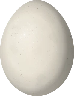 Illustration of a Dark-winged Trumpeter (Psophia viridis) egg, 48 × 37 mm