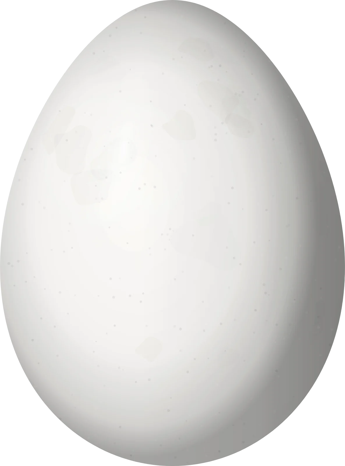 Illustration of a Delta Amacuro Softtail (Thripophaga amacurensis) egg, 24.3 × 18 mm