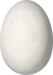Illustration of a Diamantina Sabrewing (Campylopterus diamantinensis) egg, 15.5 × 11.1 mm