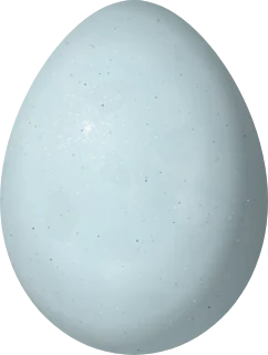Illustration of a Dickcissel (Spiza americana) egg, 20.8 × 15.7 mm