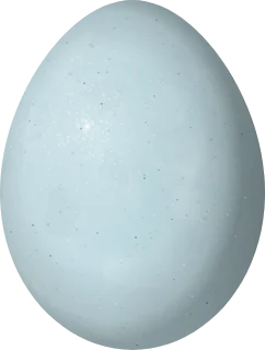 Dickcissel egg, 20.8 × 15.7 mm