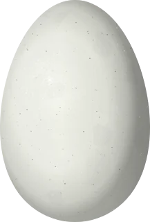 Domestic Duck egg, 65 × 44 mm
