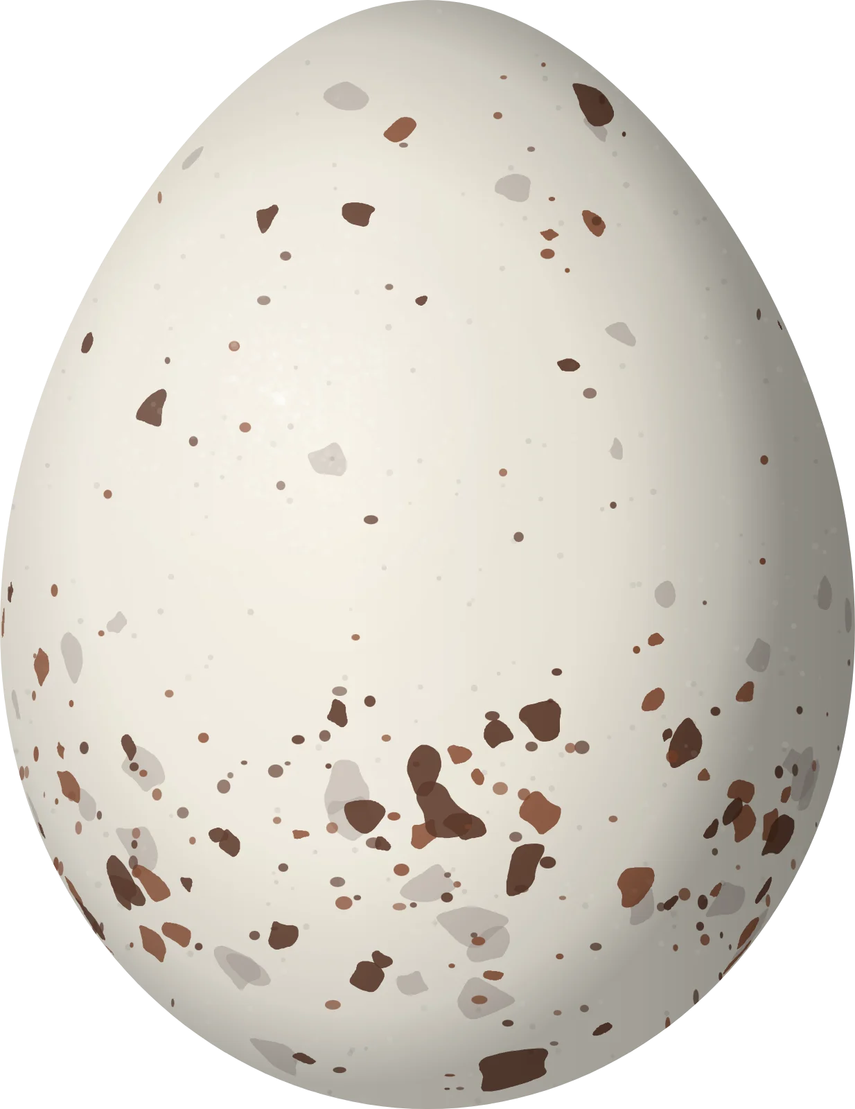 Illustration of a D'Orbigny's Chat-Tyrant (Ochthoeca oenanthoides) egg, 20.1 × 15.5 mm