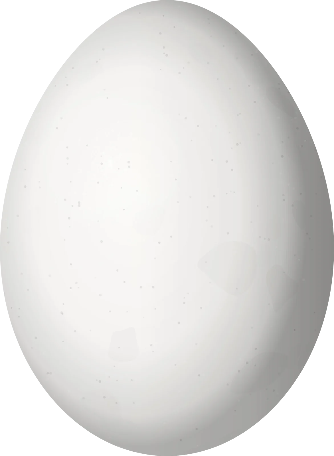 Illustration of a Dot-fronted Woodpecker (Veniliornis frontalis) egg, 22 × 16.1 mm