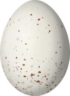 Illustration of a Dot-winged Crake (Laterallus spiloptera) egg, 27 × 19.7 mm
