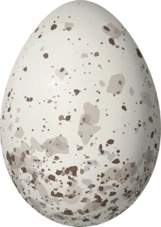 Illustration of a Dotted Tanager (Ixothraupis varia) egg, 21.6 × 15.3 mm
