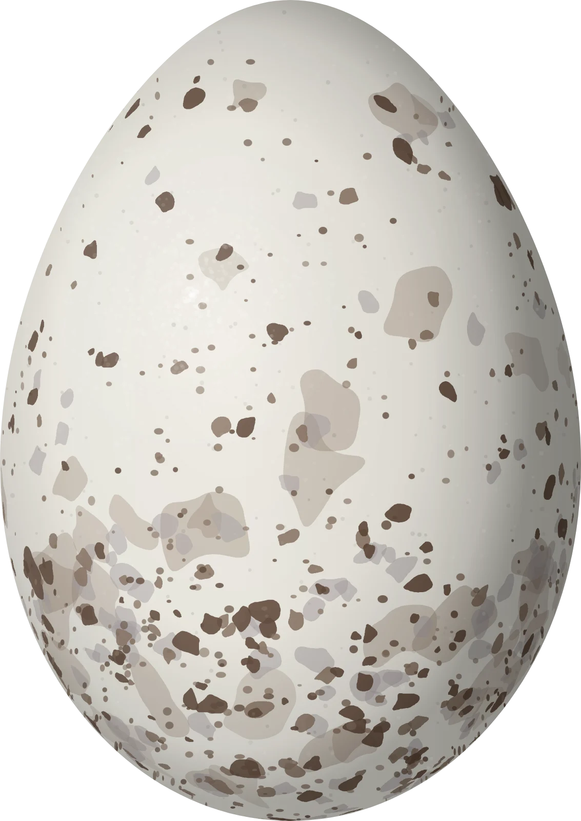 Illustration of a Dotted Tanager (Ixothraupis varia) egg, 21.6 × 15.3 mm