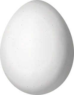 Illustration of a Downy Woodpecker (Dryobates pubescens) egg, 19.35 × 15.05 mm