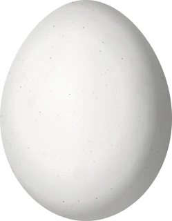 Downy Woodpecker egg, 19.35 × 15.05 mm