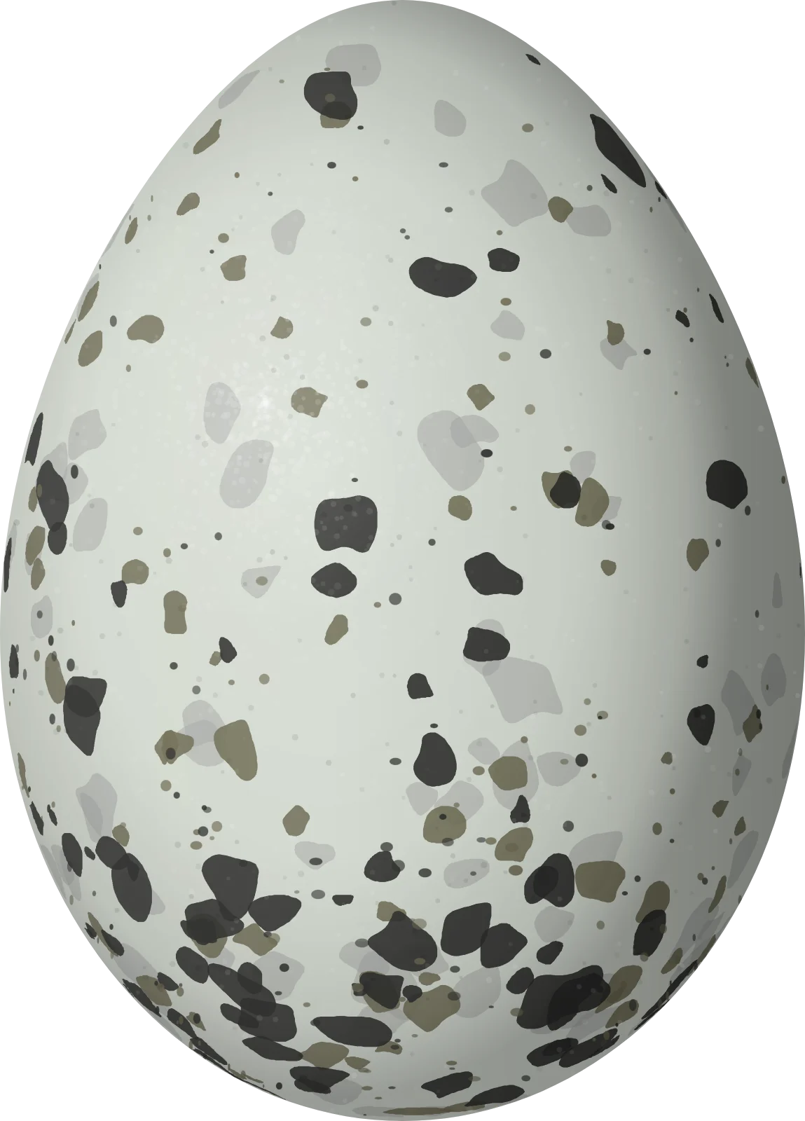 Illustration of a Drab Seedeater (Sporophila simplex) egg, 17.4 × 12.5 mm
