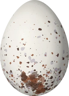 Illustration of a Dubois's Seedeater (Sporophila ardesiaca) egg, 17.4 × 12.5 mm