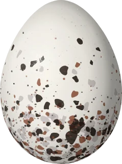 Illustration of a Duida Grass Finch (Emberizoides duidae) egg, 22 × 16.4 mm